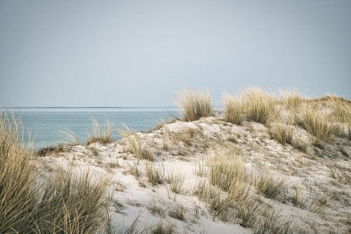 Sur la plage de la mer Baltique avec des dunes