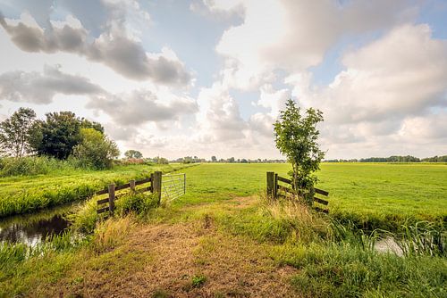Nederlands polderlandschap in de Alblasserwaard regio