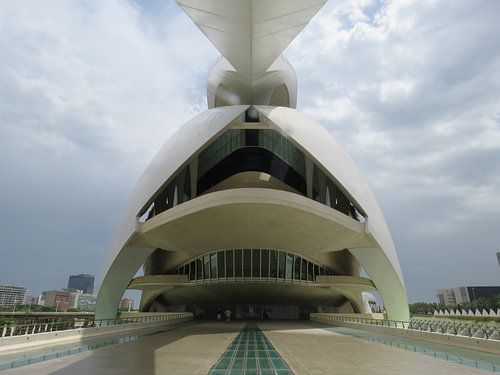 Symmetrische schoonheid van Maja van Eijndthoven