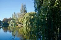 Parc
