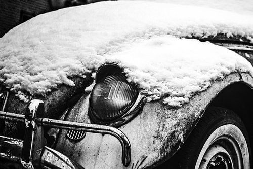 Beetle under a thick layer of snow by Geert Van Baelen
