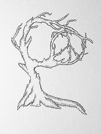 Friedensbaum von beangrphx Illustration and paintings