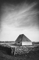 Texel XIX