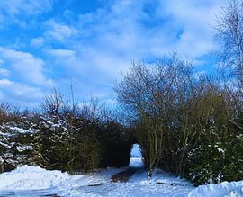 Das Tor zum Himmel von Holy Heaven