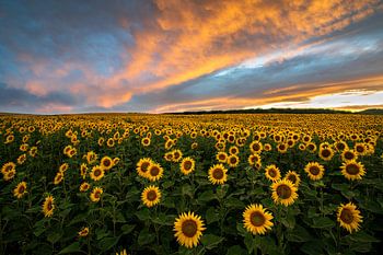 Goldener Sonnenuntergang