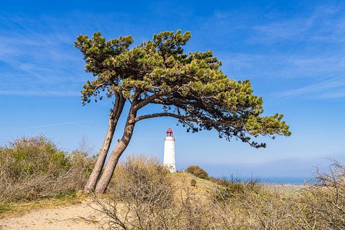 Der Leuchtturm Dornbusch auf der Insel Hiddensee