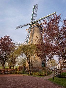 Windmill Bergambacht by Rob Boon