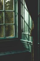 Grünes altes Fenster mit Reflexion