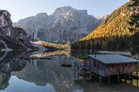 Hütte am See- Pragser Wildsee, Dolomiten, Italien von Thijs van den Broek Miniaturansicht
