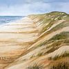 Nederlands Noordzee strand met paalhoofden en duinen - Aquarel door Hans sturris van Galerie Ringoot