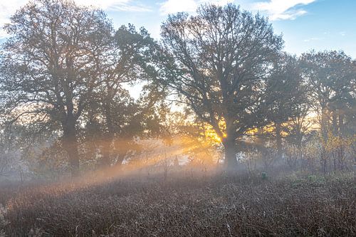 Lever du soleil à Westerwolde