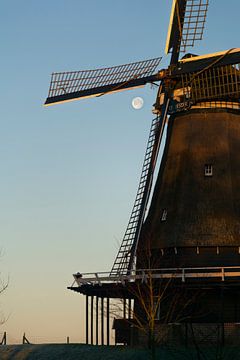 Meelmolen de Herder in Medemblik