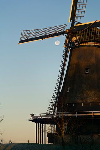 Flour mill De Herder in Medemblik