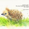 Summer again hedgehog haiku English von Karen Kaspar
