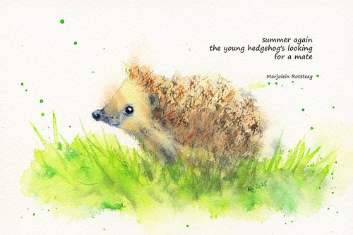 Summer again hedgehog haiku English von Karen Kaspar