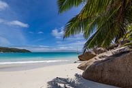Seychelles by Dennis Eckert thumbnail
