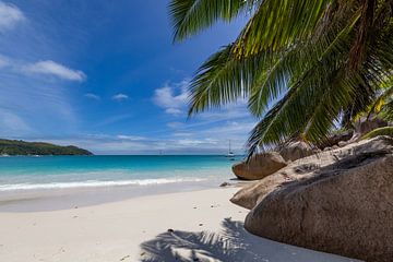Seychelles by Dennis Eckert