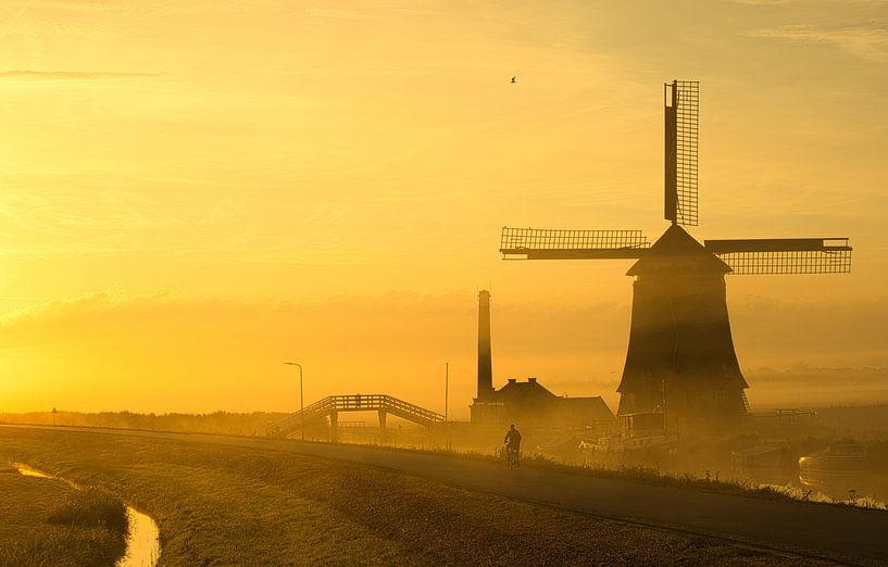 Cyclist at the Kaagmolen in golden light by peterheinspictures