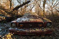 Ford mustang 1