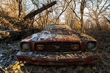 Ford mustang 1 sur romario rondelez