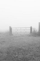 Zaun im Nebel