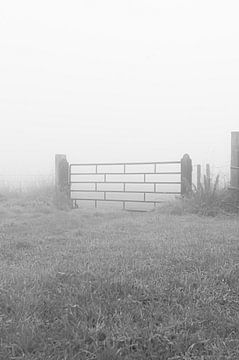 Clôture dans la brume sur Niek Traas