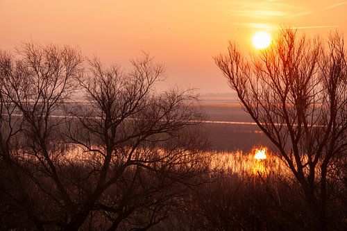 Sunrise at Oostvaarderplassen Almere