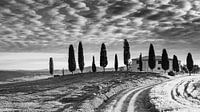 Podere I Cipressini en noir et blanc par Henk Meijer Photography Aperçu