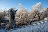 Besneeuwd landschap achter de dijk van t.ART thumbnail