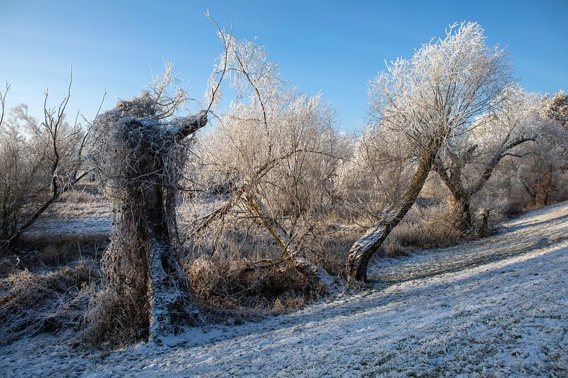 Besneeuwd landschap achter de dijk van t.ART