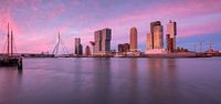 Panorama cruiseterminal Rotterdam van Ilya Korzelius thumbnail