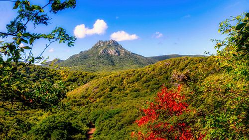 Curacao a beautiful island in the Caribbean Sea.
