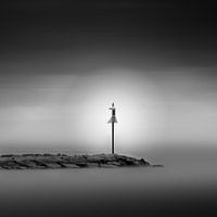 Light