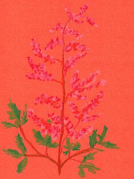 Kleurrijke vintage bloemen. Astilbe in roze, rood, koraal en groen. van Dina Dankers
