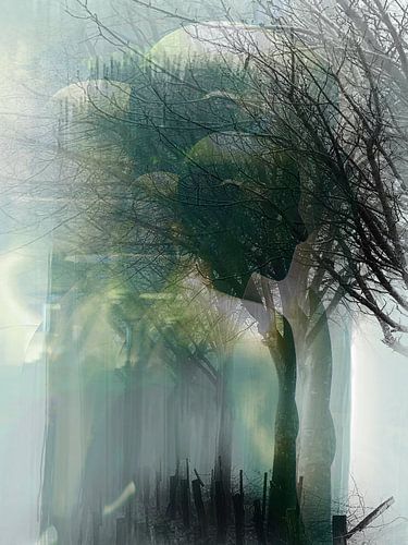Men and trees von Gabi Hampe