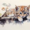 Bébé chaton sur CanvasbyCaro