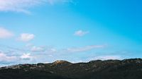 Dunes Terschelling