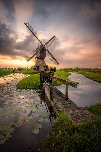 Moulin de Noordeveld au petit matin