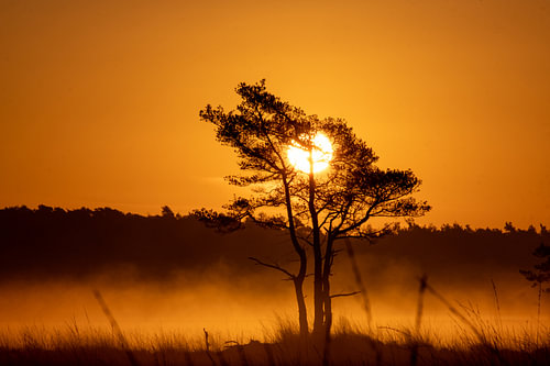 Lever du soleil