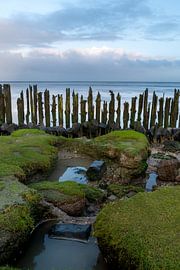 Peasens moddergat friesland. van Eline Oostingh