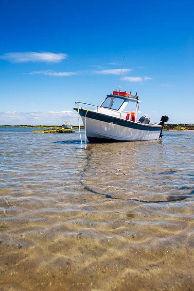 Shipf am sand von Youri Mahieu