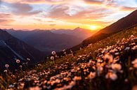 Bloemrijke zonsopgang over het Kleinwalsertal van Leo Schindzielorz thumbnail