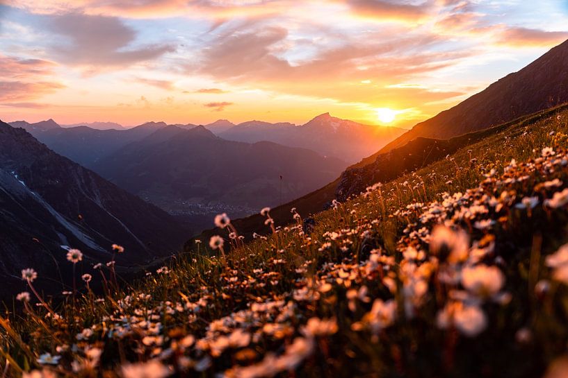 Bloemrijke zonsopgang over het Kleinwalsertal van Leo Schindzielorz