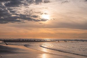 Scheveningen Teil 2