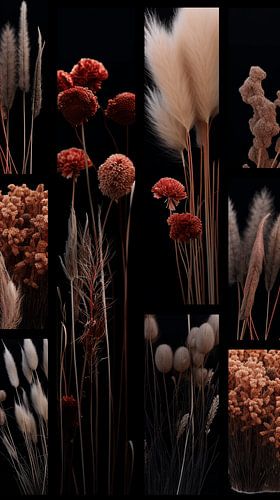 Vibrant Elegant Grass and Golden Plumes Radiate in the Sunlight