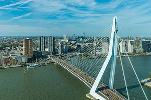 Erasmusbrücke Rotterdam, von oben gesehen