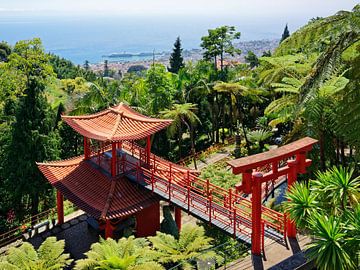 Monte Palace Madeira Tropische tuin met uitzicht op Funchal