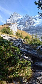 Wanderweg von Bettina Schnittert