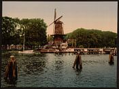 Molen en Spaarne, Haarlem van Vintage Afbeeldingen thumbnail