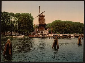 Molen en Spaarne, Haarlem by Vintage Afbeeldingen